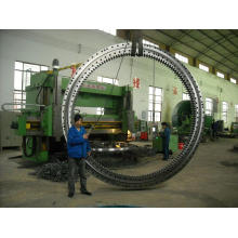 Large Diameter Slewing Bearings for Port Crane 131.50.4000